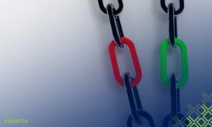 Links dofollow x nofollow - Experta Media