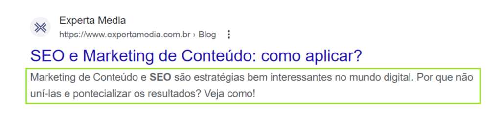 Meta descrição: já pensou como é importante para seu site?