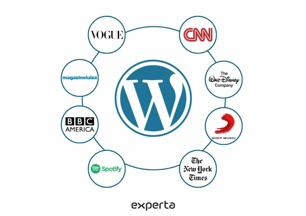 esquema de sites famosos feitos em wordpress seo